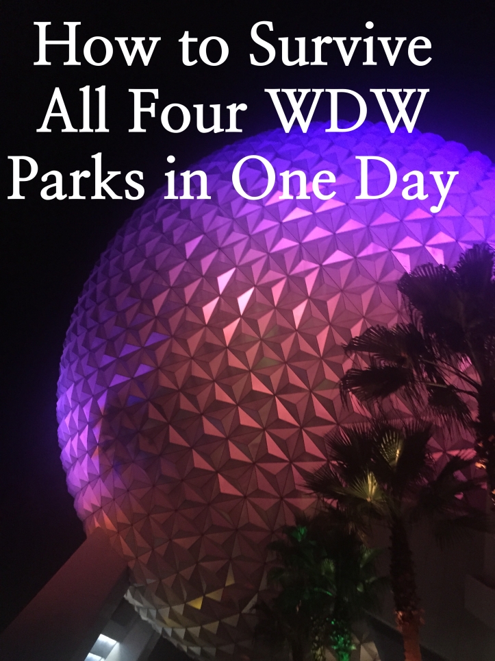 How To Survive All Four Parks in One Day